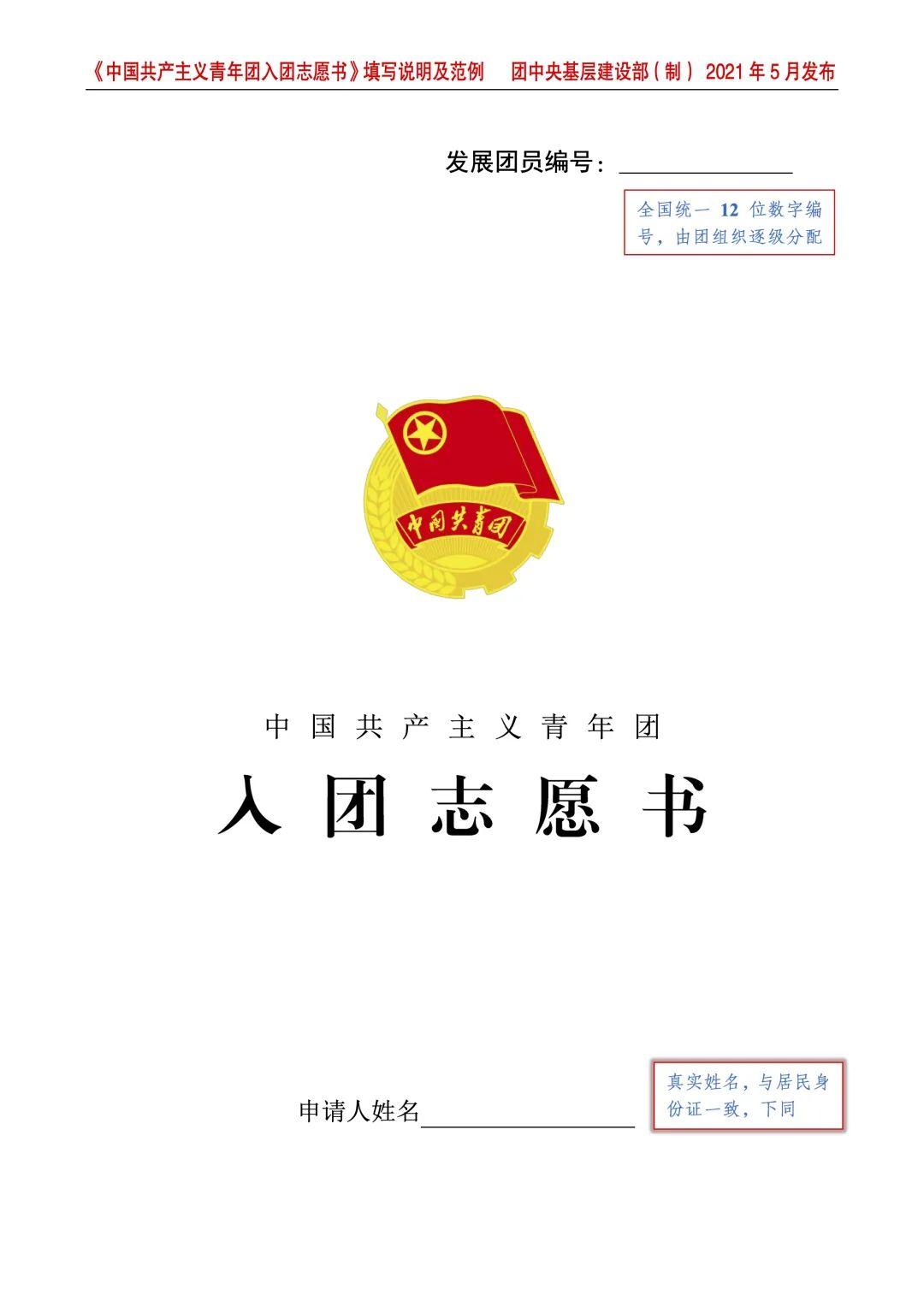 青春担当，入团志愿书的政治选择与责任宣言