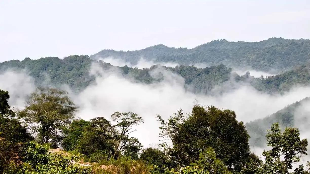 哀牢山的自然人文魅力之旅