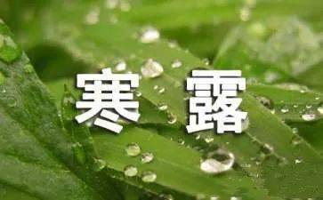 寒露凝秋意，浓情寄深秋