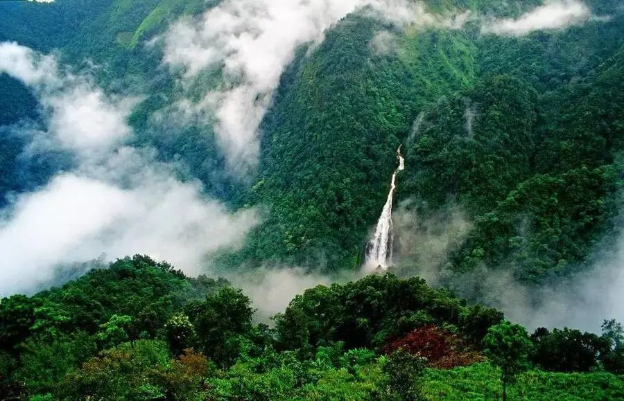 哀牢山，自然魅力与人文探索之旅