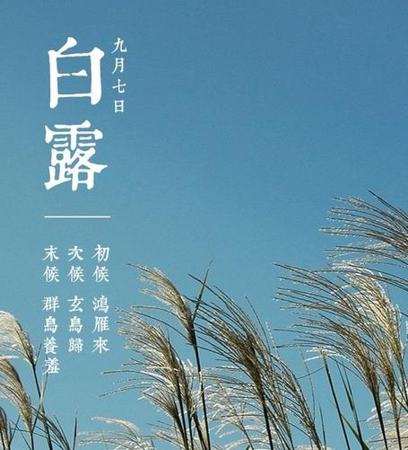 创业思维 第203页