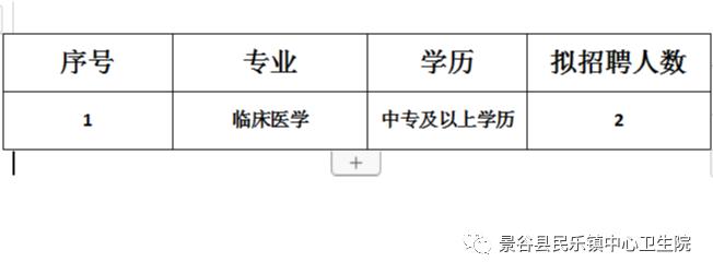 尼木县卫生健康局最新招聘启事