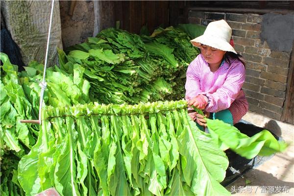 连山区文化广电体育和旅游局招聘启事概览