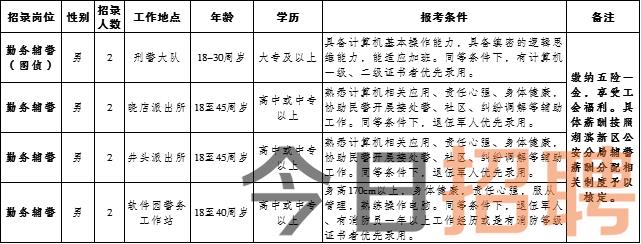 双阳区统计局最新招聘信息全面解析与招聘细节详解