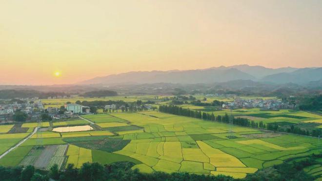 黄烟村典范项目，引领乡村发展新篇章