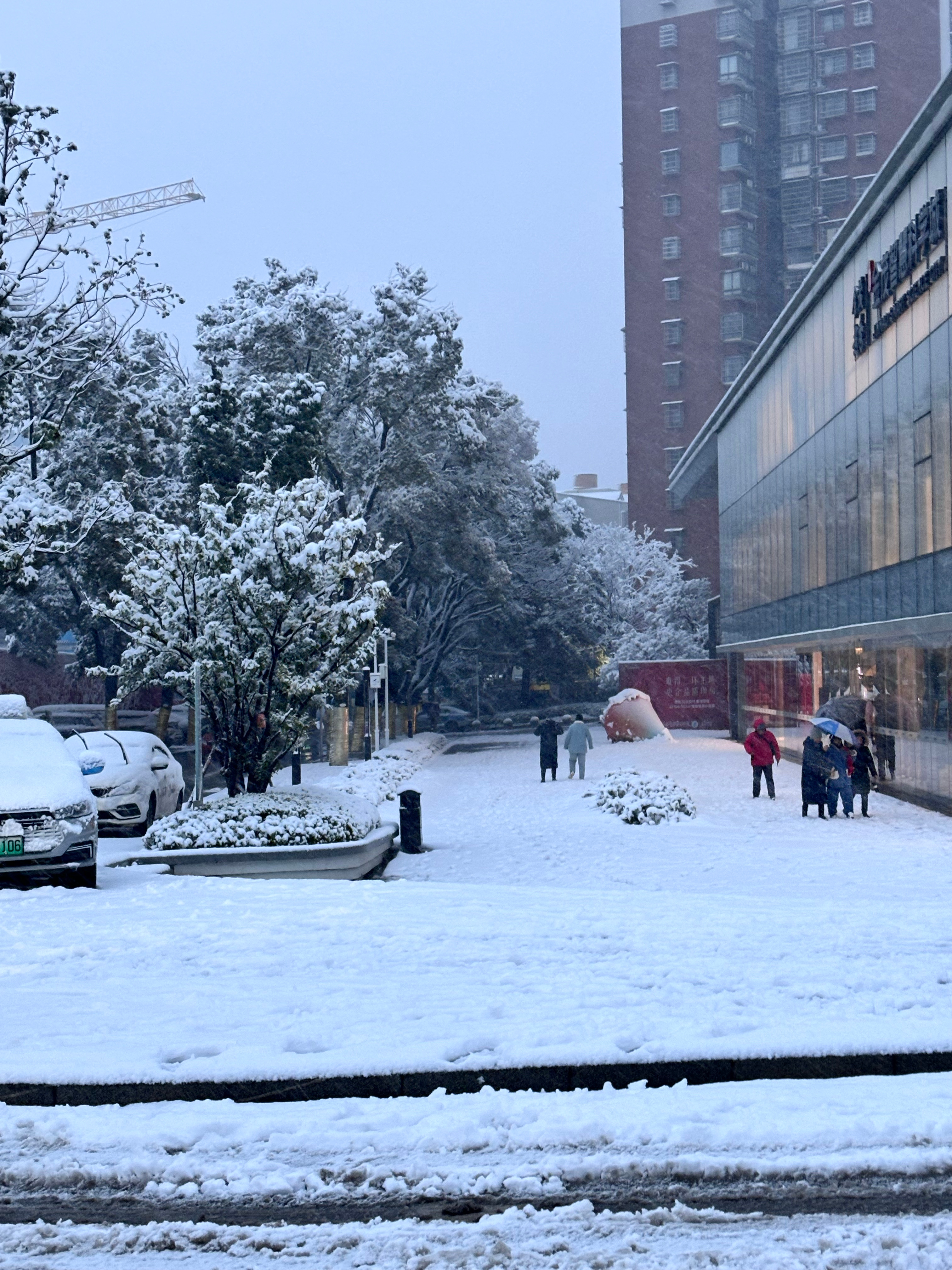 长沙真的下雪了