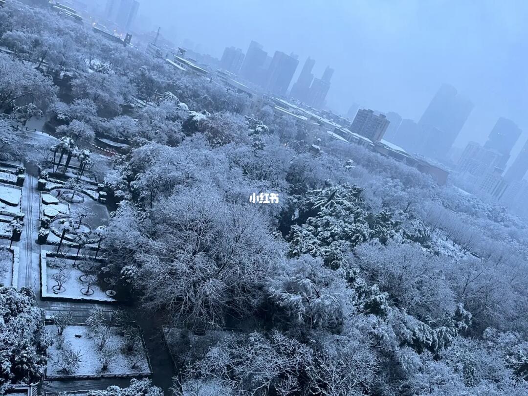 武汉下雪