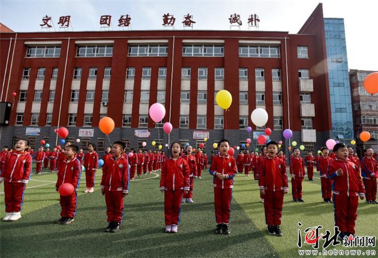 宣化县小学领导团队最新概览