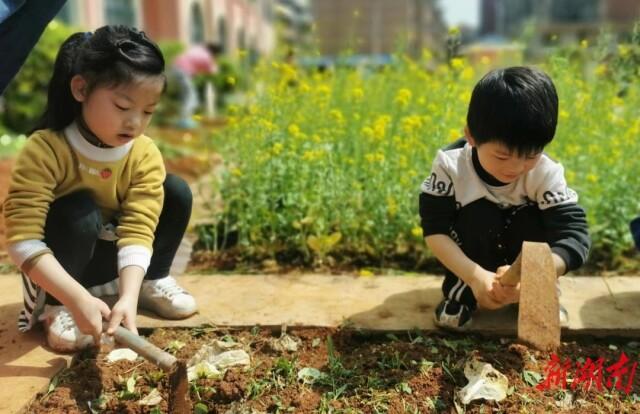 永丰镇未来繁荣蓝图，最新发展规划揭秘