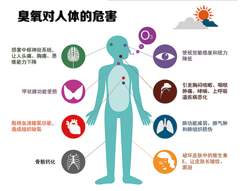 密闭空间变臭，人体因素还是环境原因？