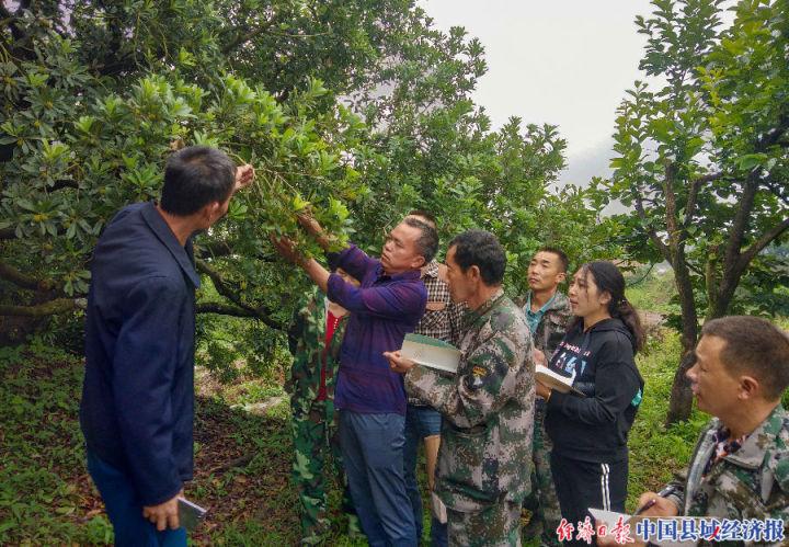 红垭村乡村振兴与社区发展新篇章揭晓，最新新闻报道