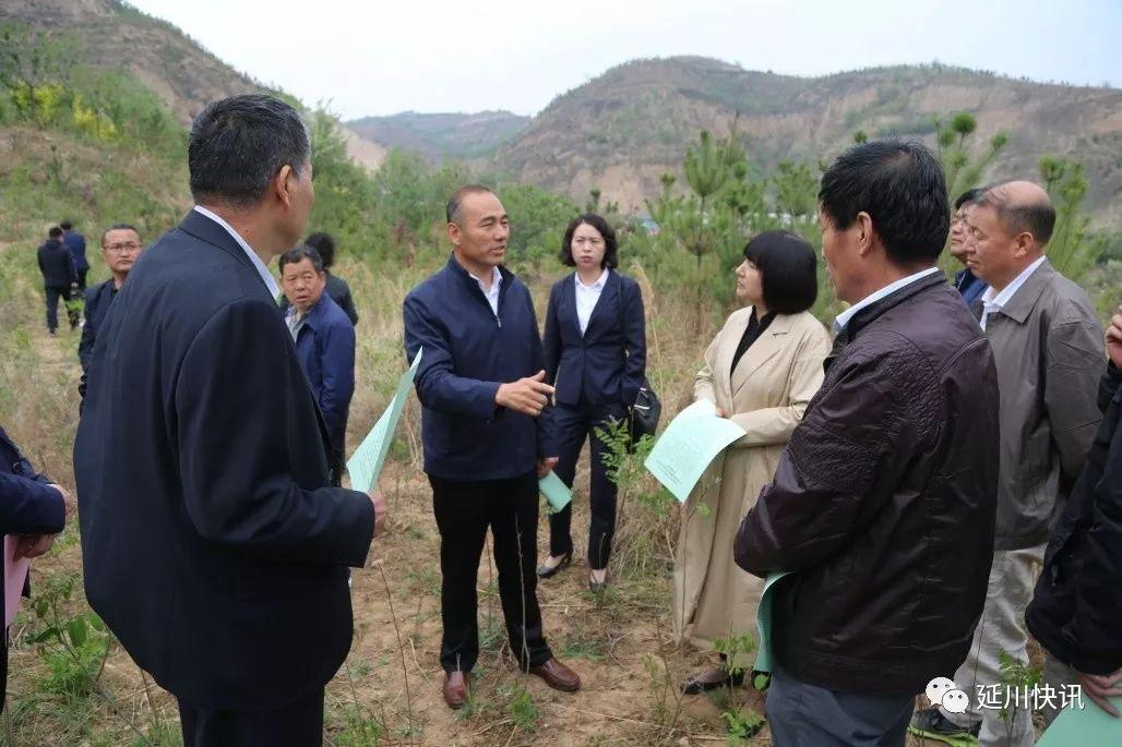 文安县体育馆最新项目，现代化体育新地标崛起