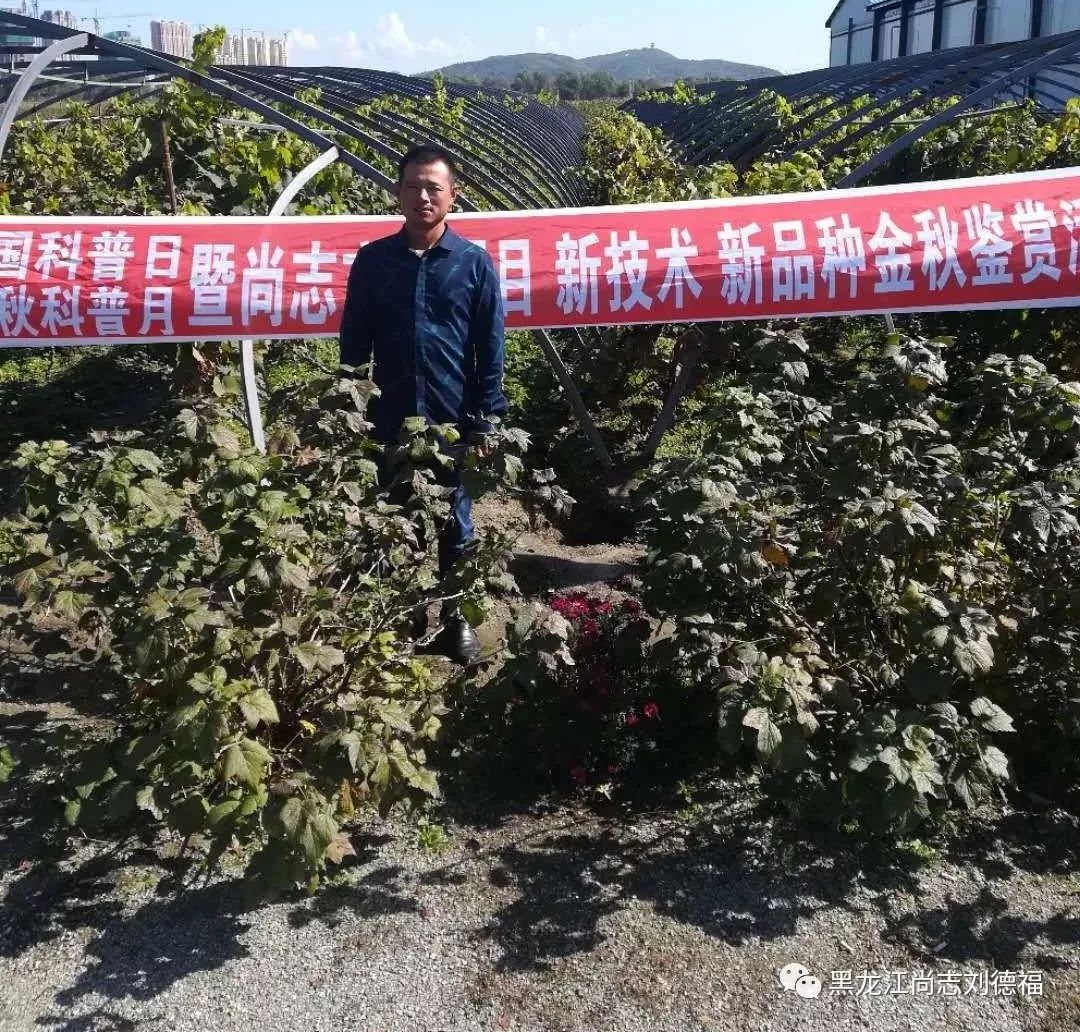 日多乡新项目引领乡村发展新篇章