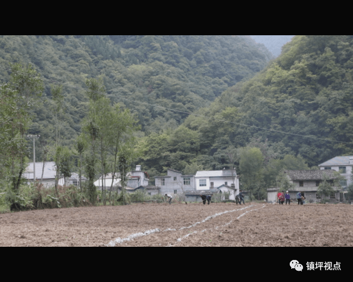 阳坪村发展规划概览，未来蓝图揭秘