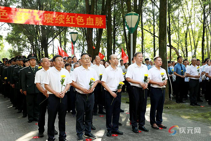 百山祖镇交通新篇章，迈向现代化交通发展之路的进展报道