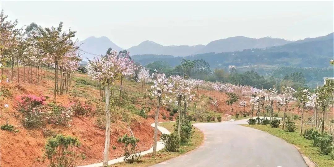 平南县文化广电体育和旅游局新项目推动地方文化与旅游发展繁荣