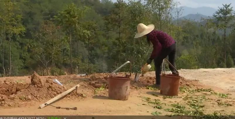 上杭县防疫检疫站最新动态报道