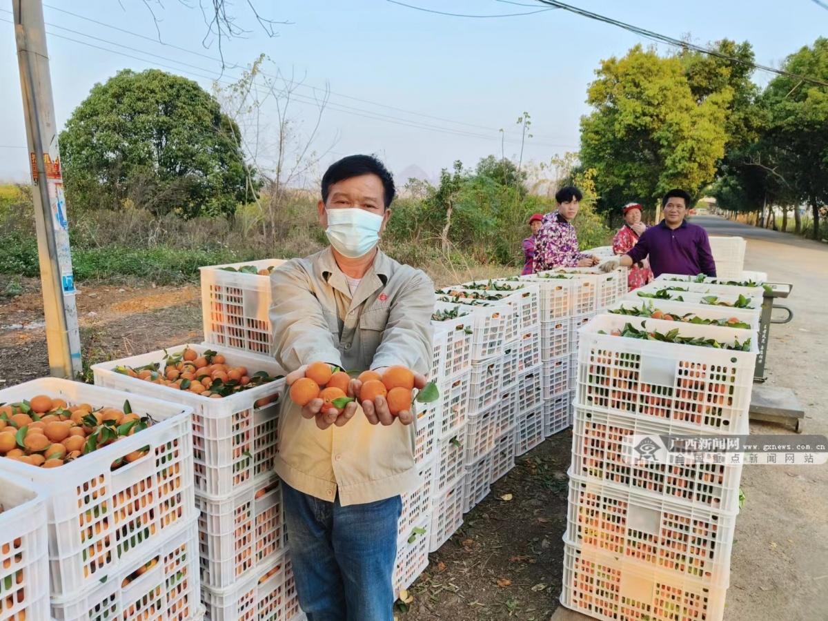 雁山镇最新新闻动态报道速递