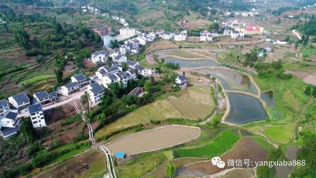 白果村发展规划揭秘，塑造乡村新面貌，引领可持续发展之路