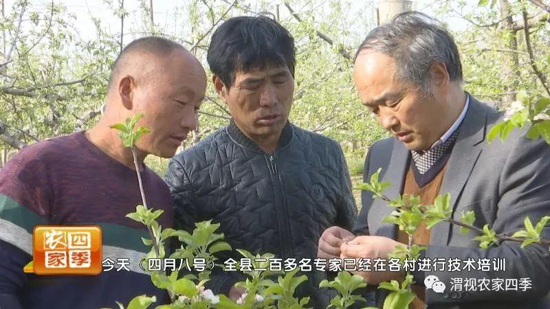 农林街道天气预报更新通知