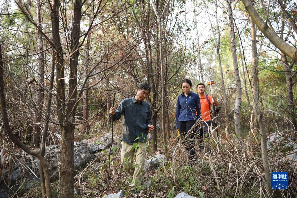 林芝县文化广电体育和旅游局招聘启事及最新职位概览