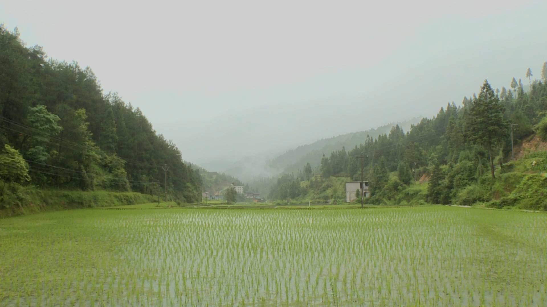 雷山县农业农村局新项目推动农业现代化，乡村振兴再添动力