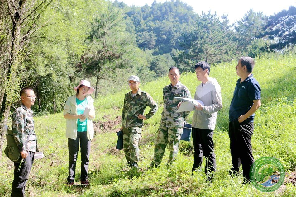 秦家梁林场最新新闻动态报道速递