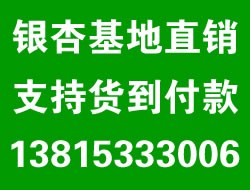 铁富镇最新招聘信息详解及深度解读