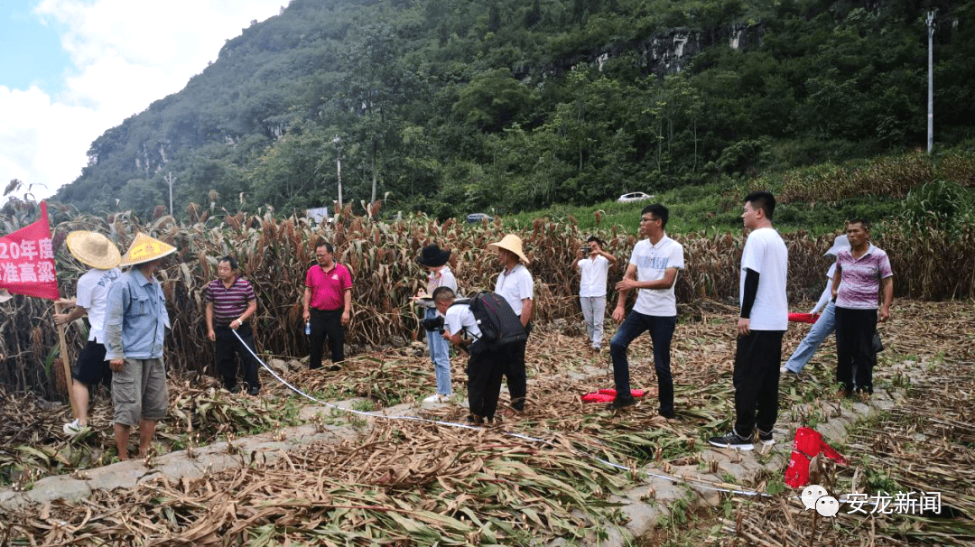 林口县农业农村局新项目推动农业现代化助力乡村振兴