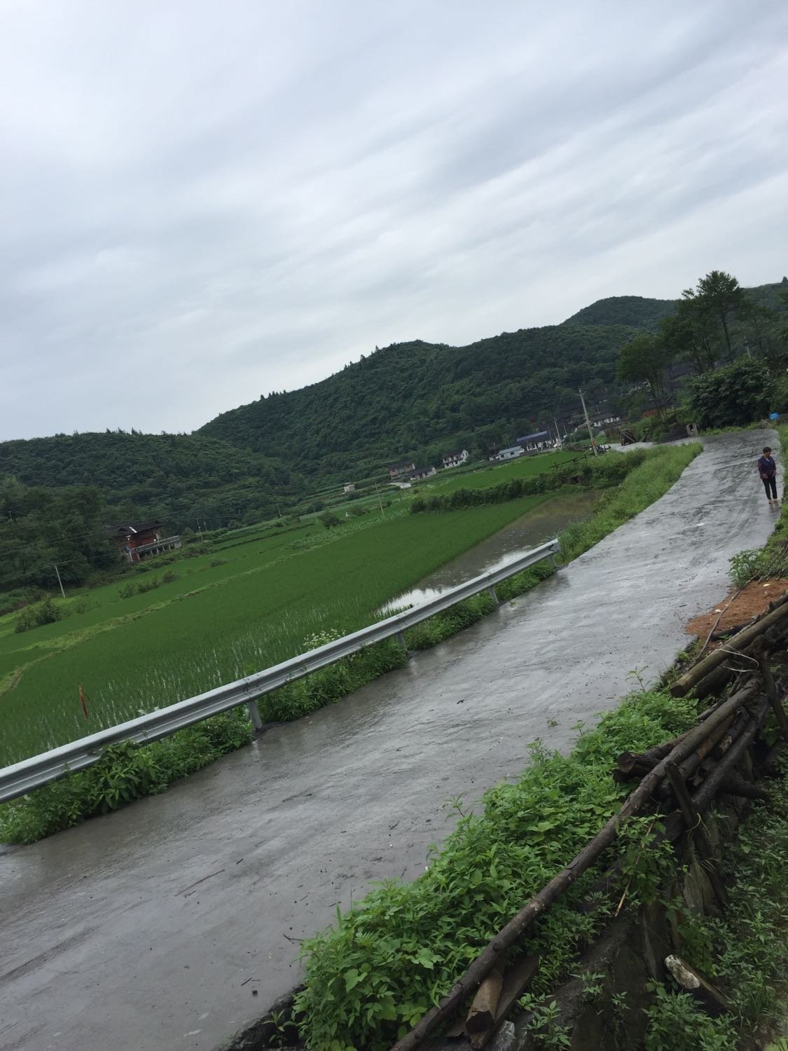 清水江乡天气预报更新通知