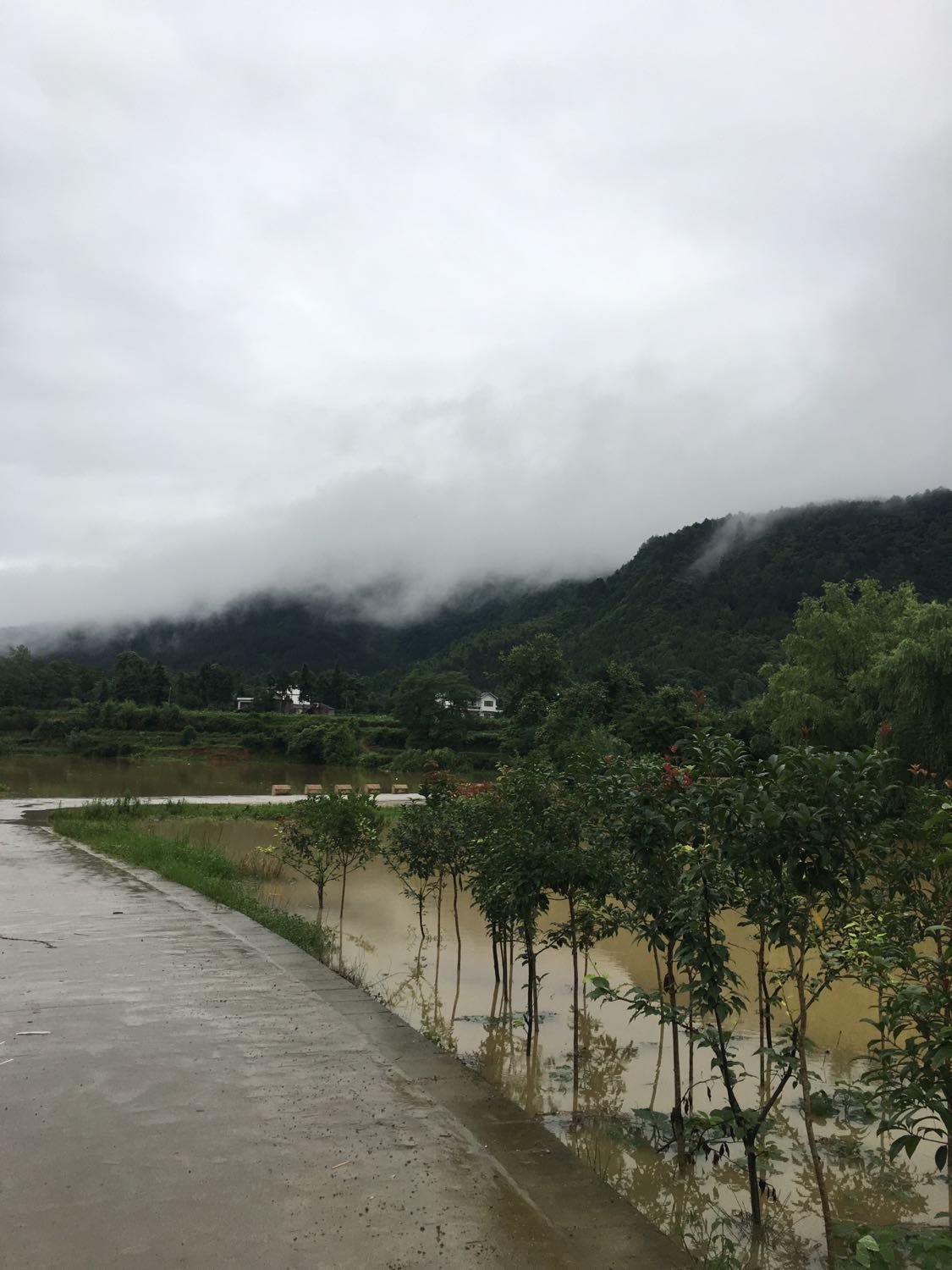 渣坪乡天气预报更新通知