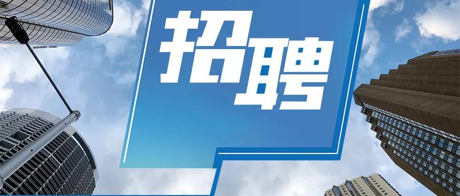 京溪街道最新招聘信息全面解析