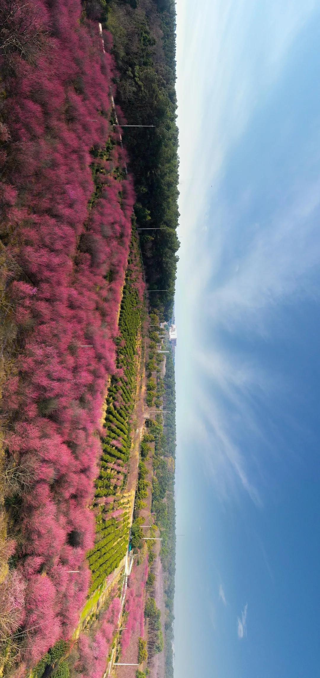 2025年2月2日