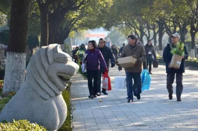 天长市殡葬事业单位发展规划展望，未来展望与策略布局