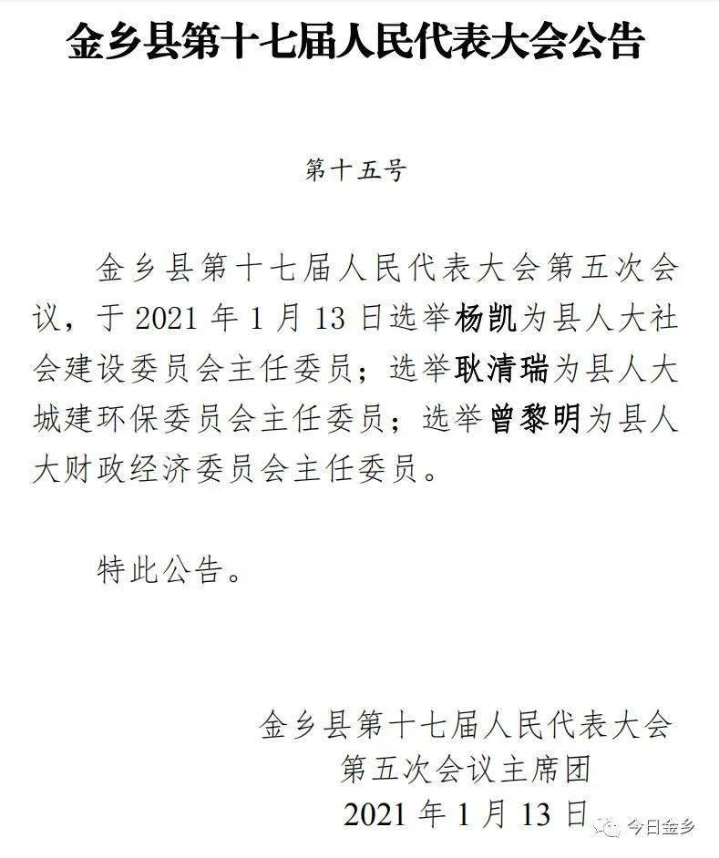 金乡县医疗保障局人事任命动态解析及影响展望