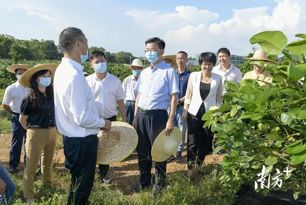 新安县住房和城乡建设局发展规划概览