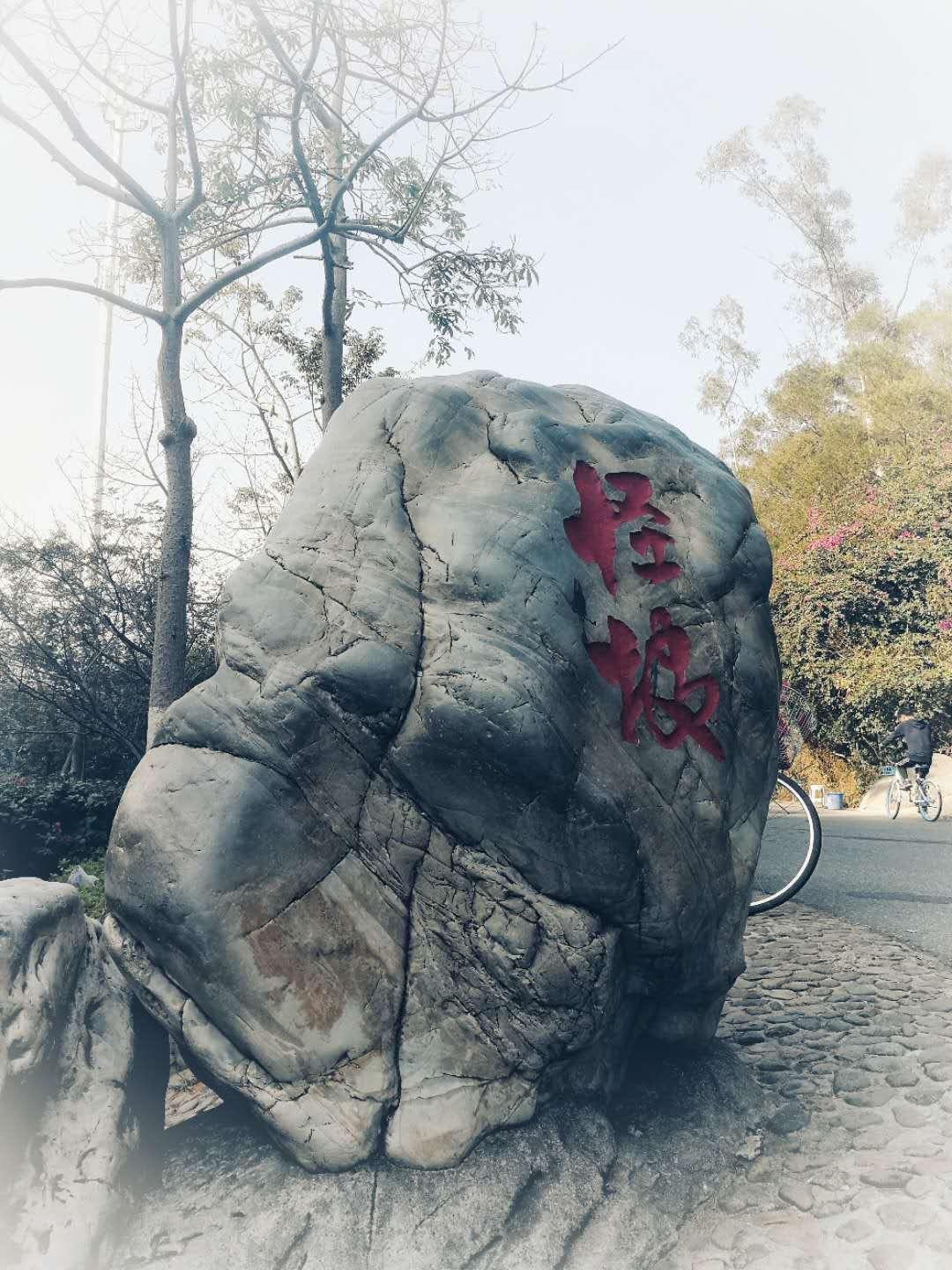 水长乡文屏镇未来繁荣与生态和谐发展规划蓝图揭秘