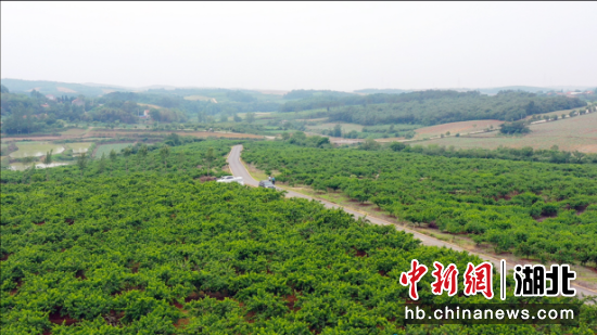 流水镇新项目，地区发展的强大引擎领航者