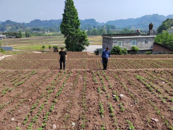 达尔罕茂明安联合旗农业农村局项目最新进展报告概况