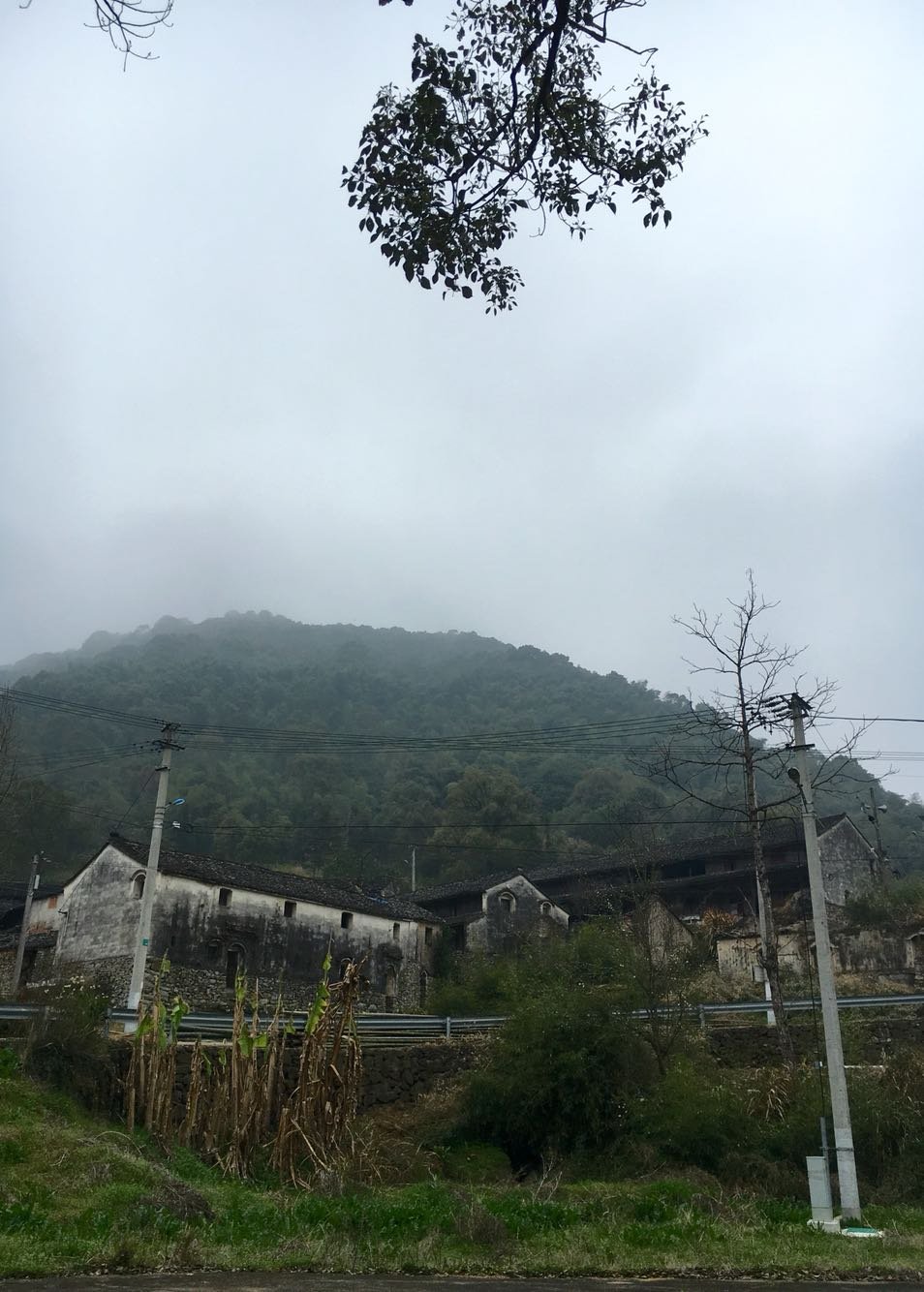 西潭乡天气预报更新通知