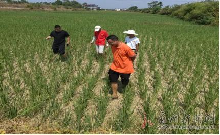 祁阳县财政局领导团队最新概述