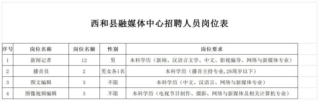 西和县文化广电体育和旅游局最新招聘启事概览