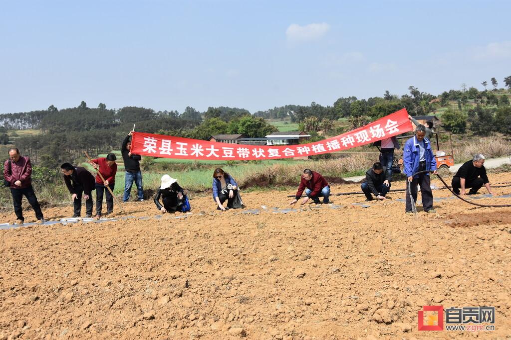 荣县市场监督管理局新项目的实施，推动市场监管现代化，助力地方经济高质量发展