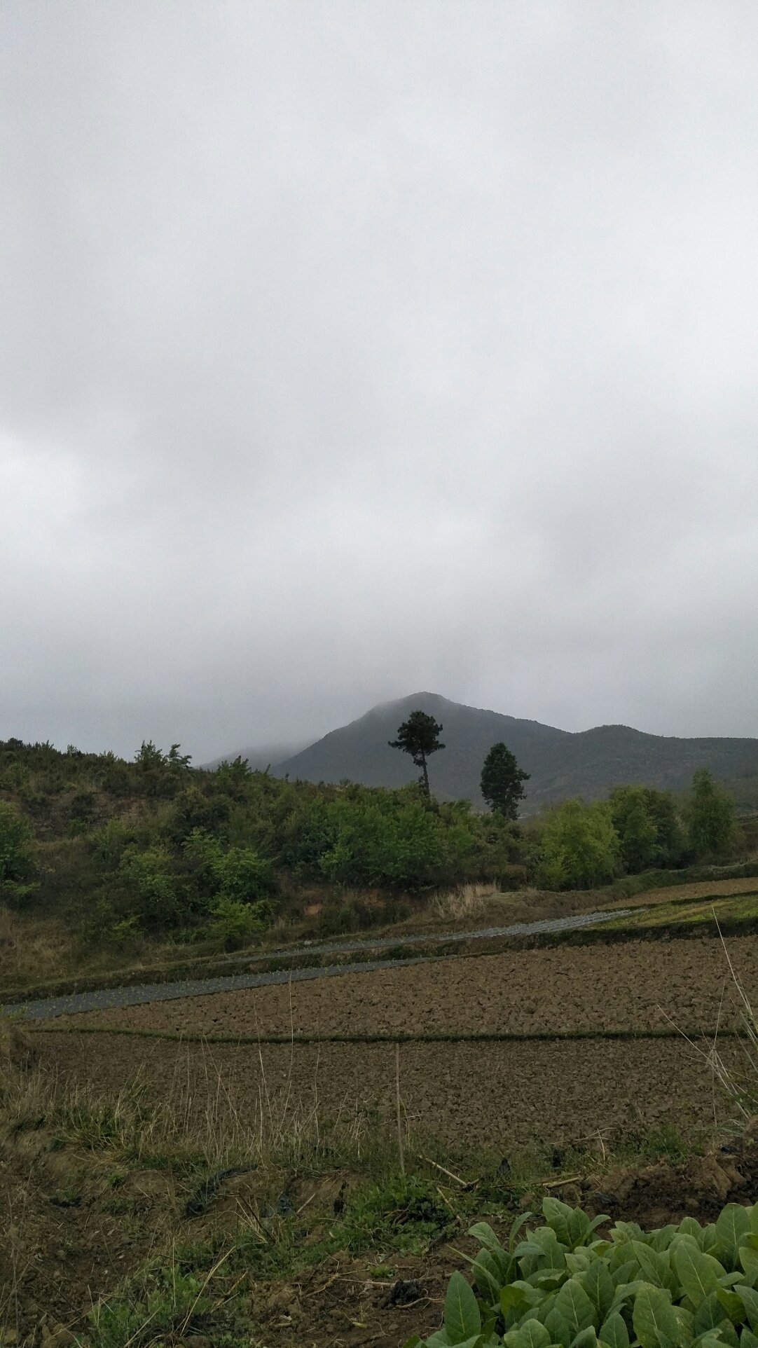 九架车村天气预报更新通知