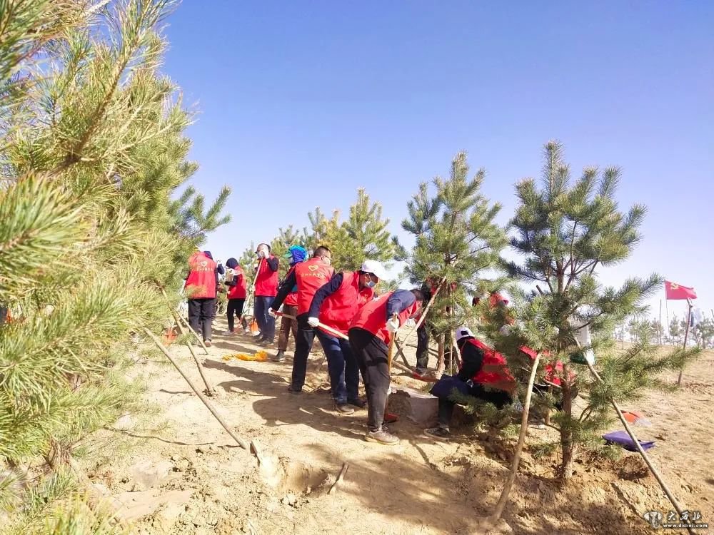 苏武山林场绿色生态建设先锋项目启动