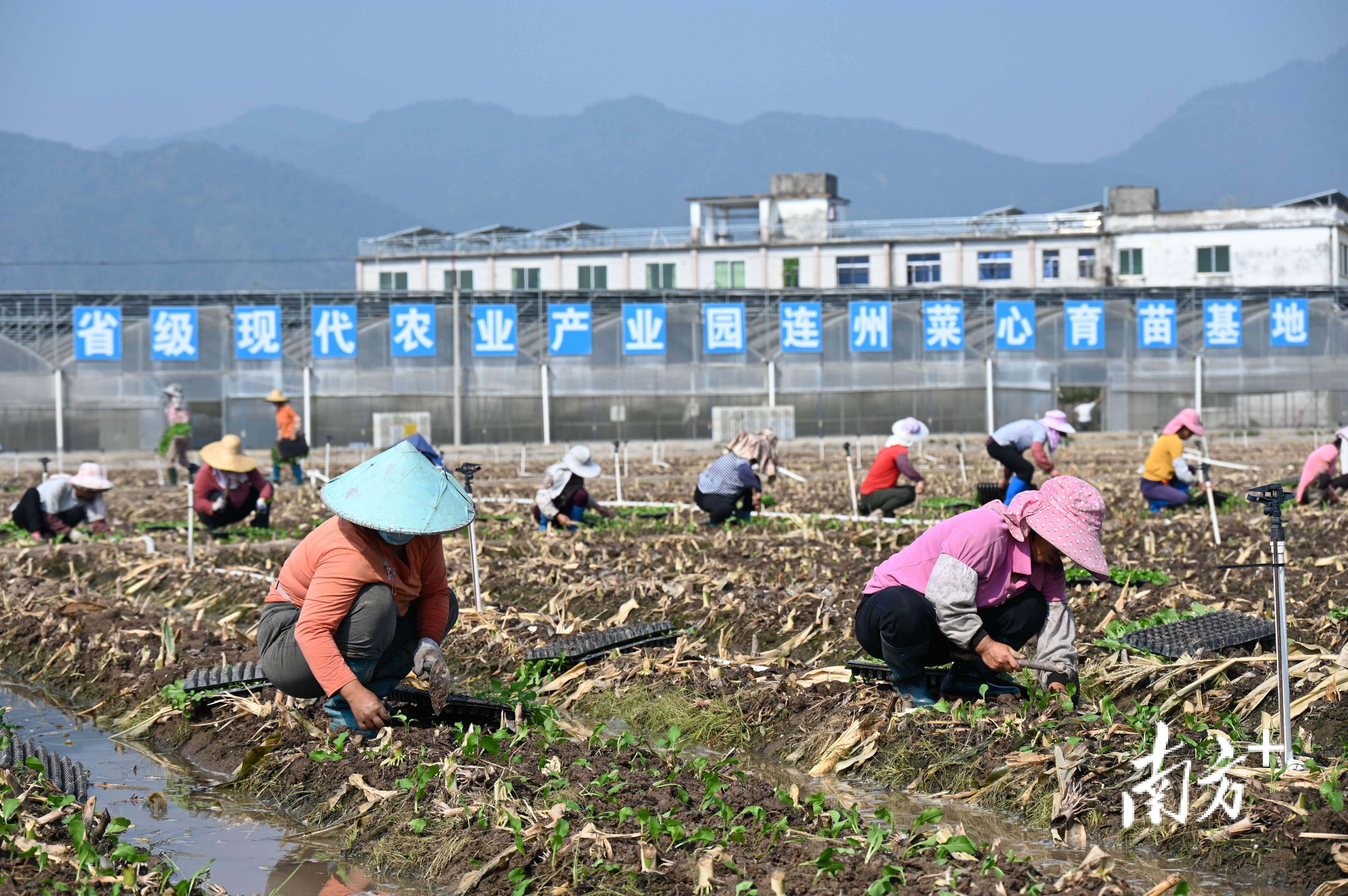 连州市市场监督管理局最新发展规划概览