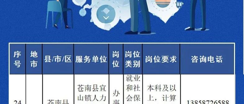 桑日县数据和政务服务局最新招聘启事及职责概览